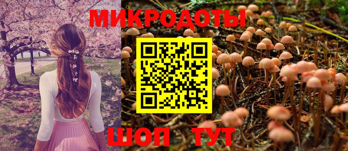 Шелехов  Псилоцибиновые грибы Cubensis  Вход с VPN  Галлюциногенные грибы Psilocybe 